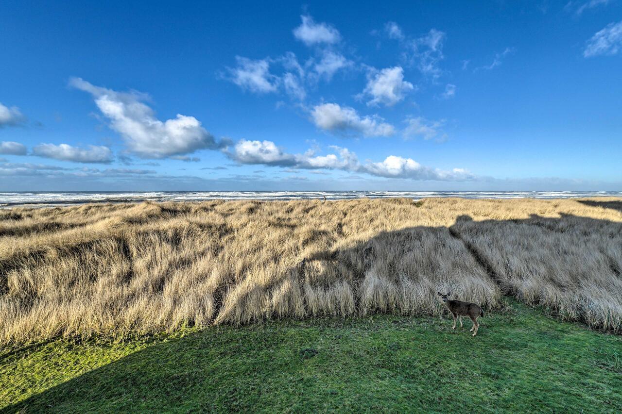 Eagles View Condo In Ocean Shores With 3 Balconies Екстер'єр фото